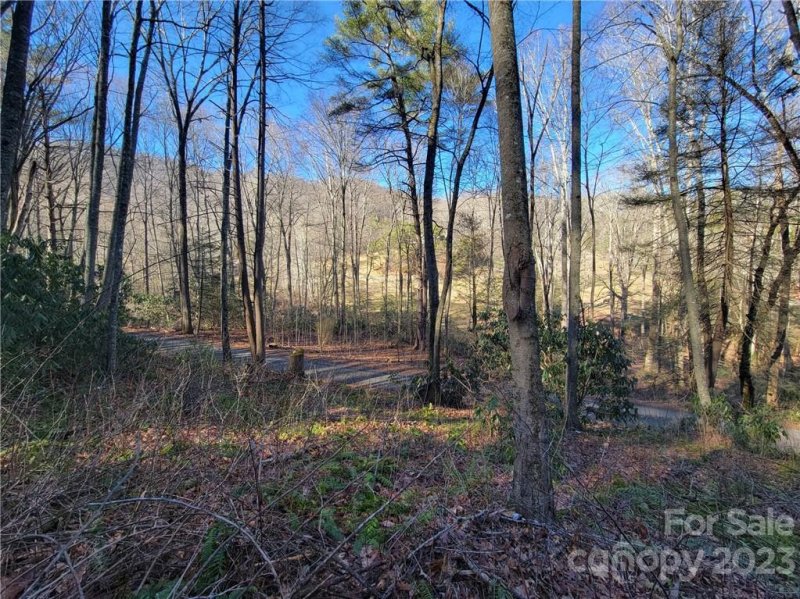 Property image 4 at 717 Coyote Hollow Road, Waynesville, NC 28785