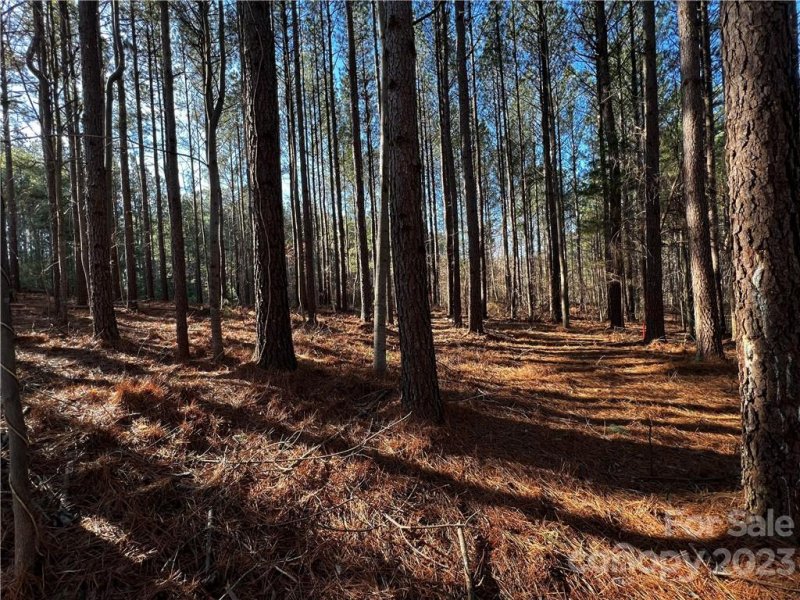 Property image 2 at 162 Winding Forest Drive, Troutman, NC 28166