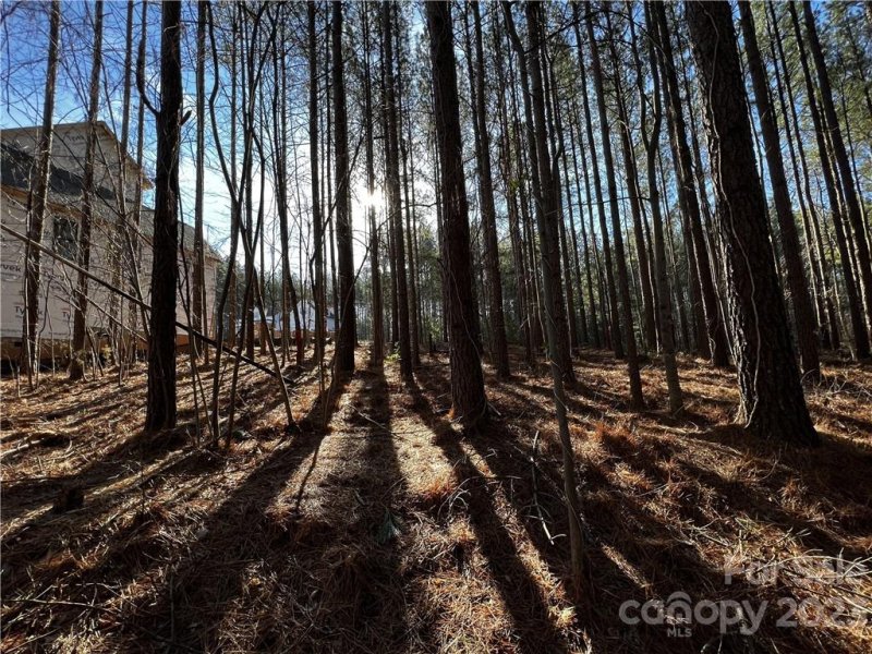 Property image 4 at 162 Winding Forest Drive, Troutman, NC 28166