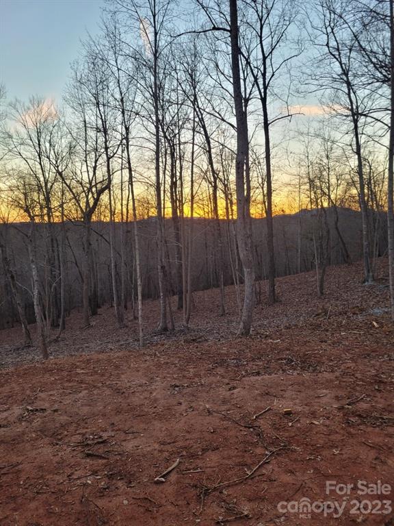 Property image 4 at 643 Cross Ridge Drive, Rutherfordton, NC 28139