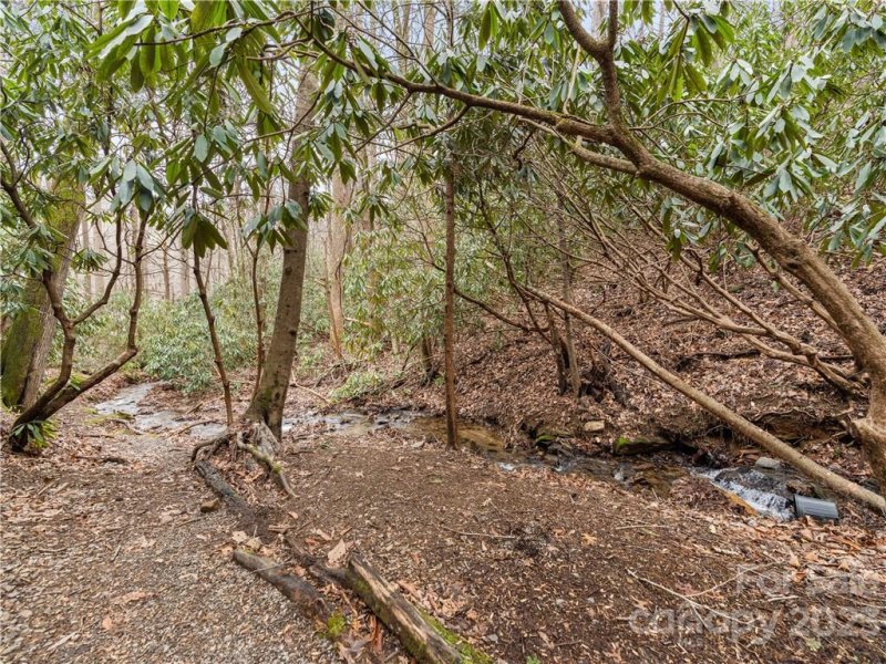 Property image 5 at 141 Creekside Drive, Maggie Valley, NC 28751