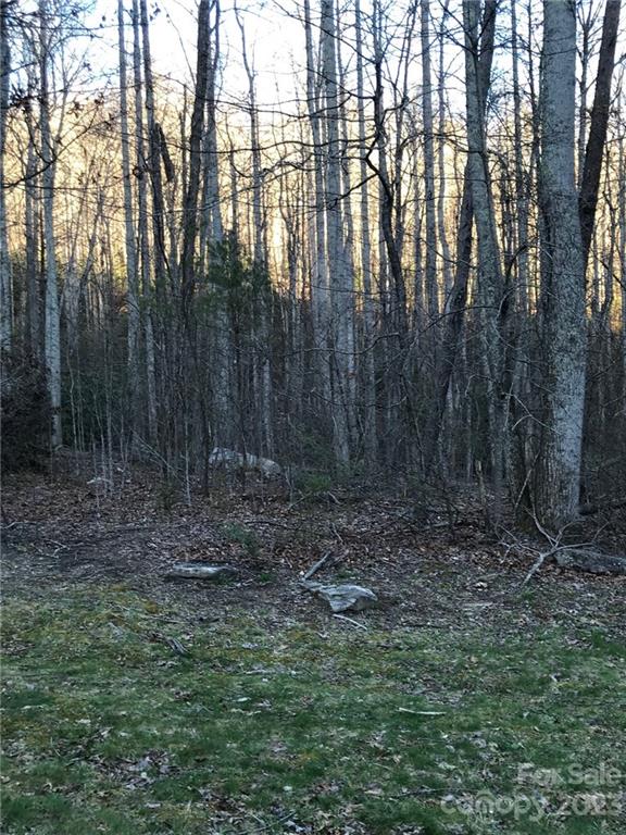 Property image 2 at 868 Wash Freeman Road, Hendersonville, NC 28792