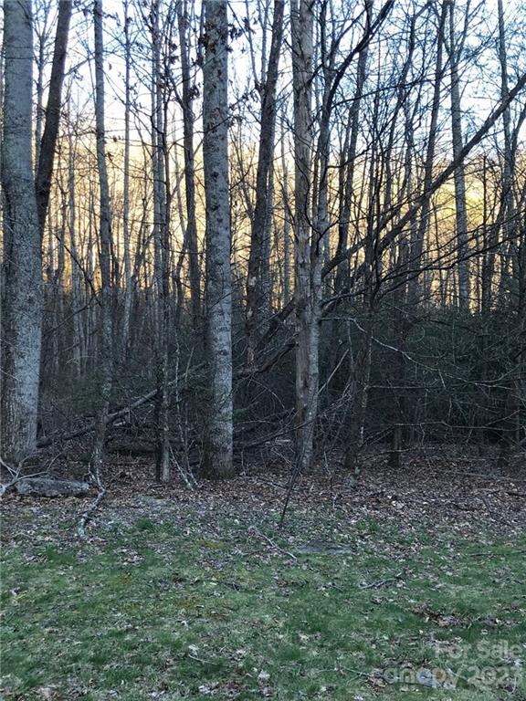 Property image 3 at 868 Wash Freeman Road, Hendersonville, NC 28792