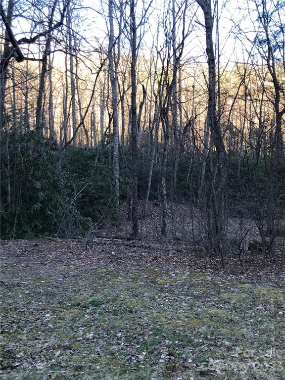 Property image 4 at 868 Wash Freeman Road, Hendersonville, NC 28792