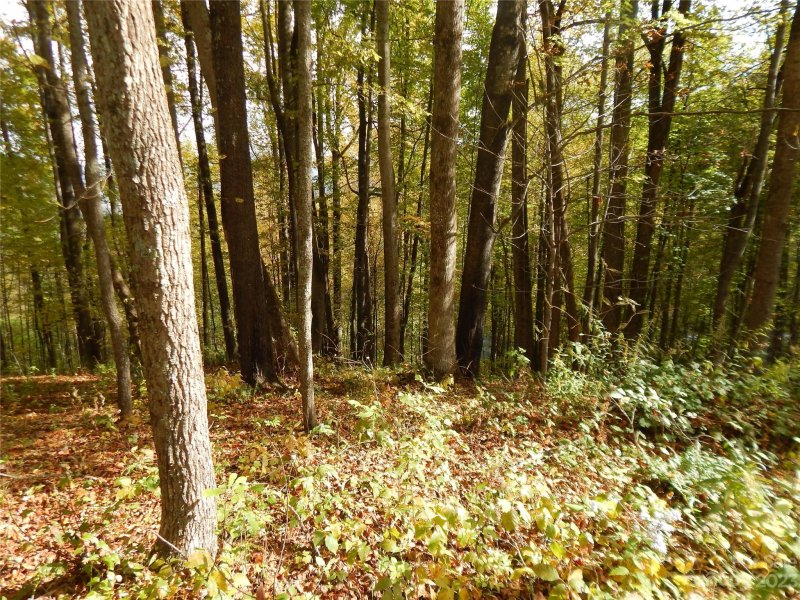 Property image 2 at 00 Kitty Lane, Waynesville, NC 28785