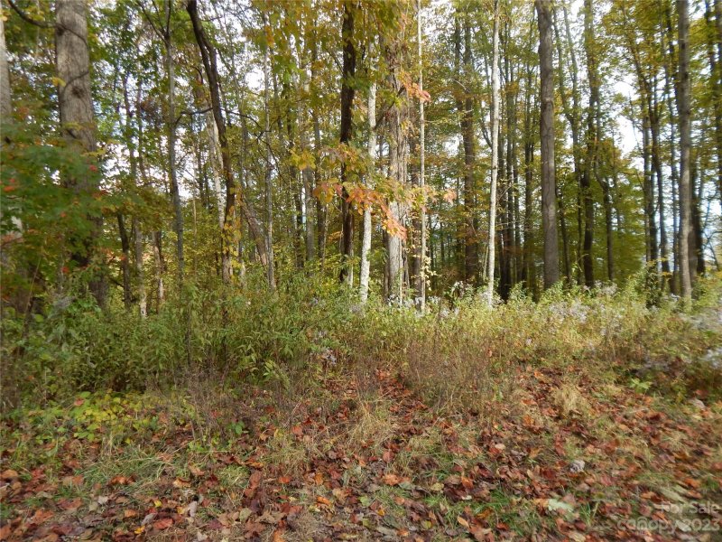 Property image 3 at 00 Kitty Lane, Waynesville, NC 28785