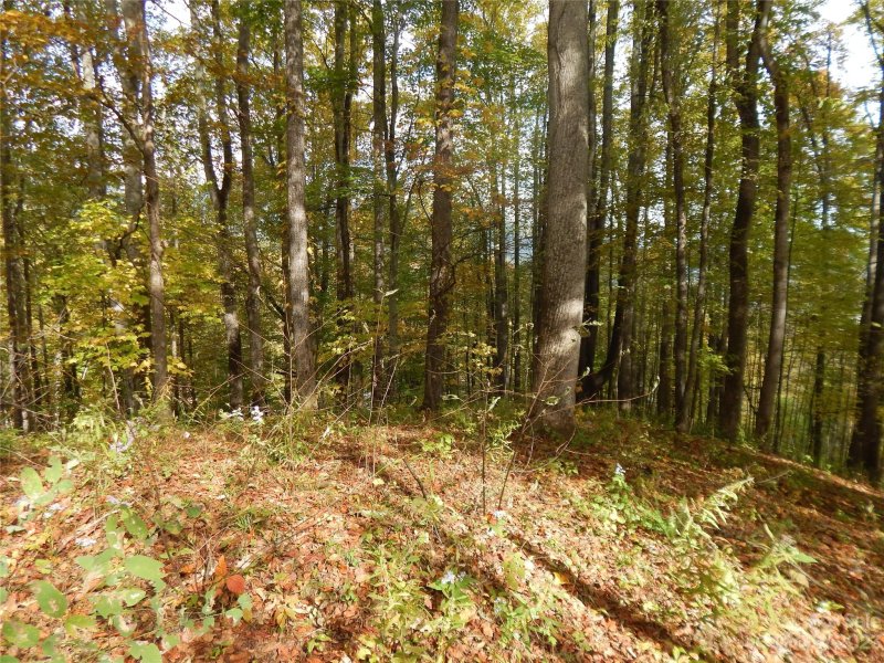 Property image 4 at 00 Kitty Lane, Waynesville, NC 28785