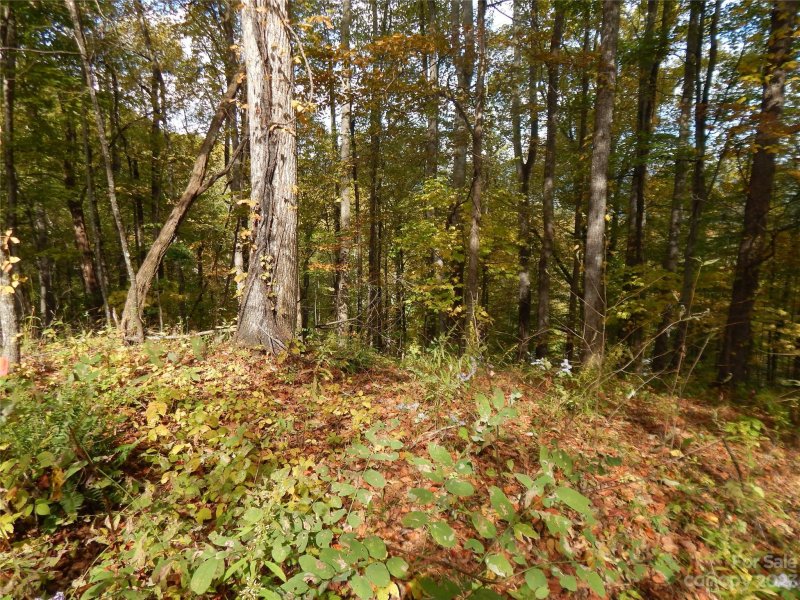 Property image 5 at 00 Kitty Lane, Waynesville, NC 28785