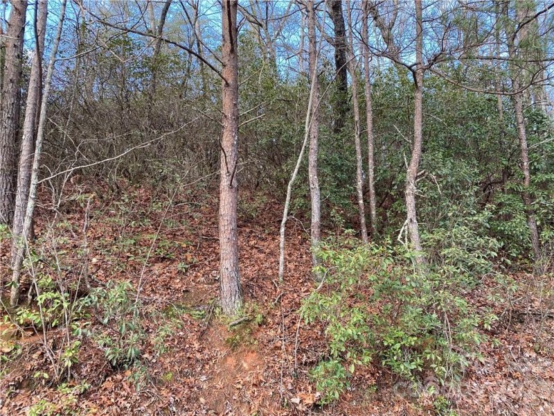 Property image 2 at Lot 117 Sanderling Court, Lake Lure, NC 28746