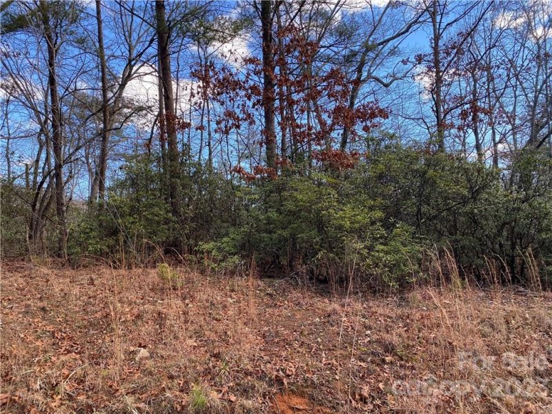 Property image 3 at Lot 117 Sanderling Court, Lake Lure, NC 28746