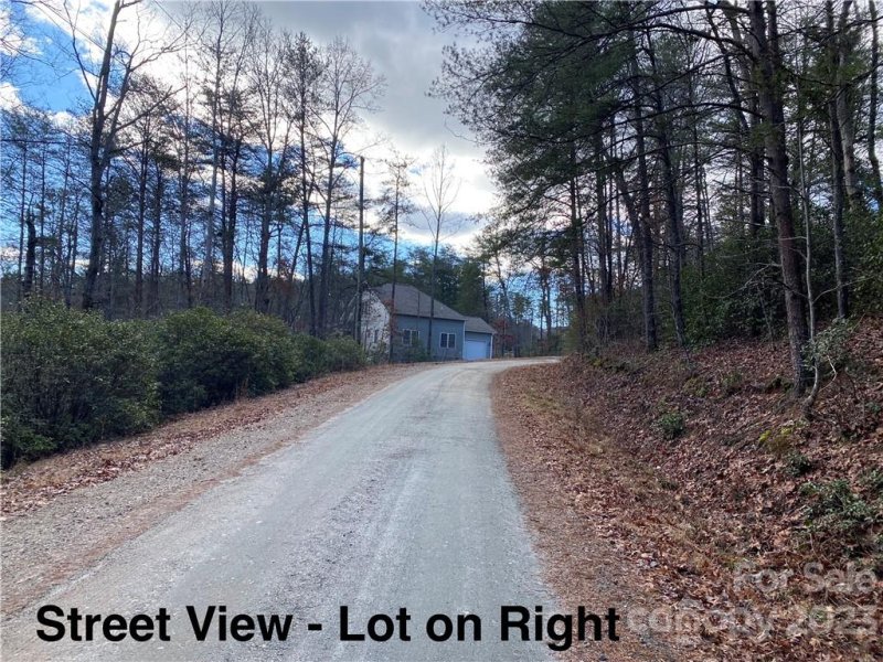 Property image 5 at Lot 117 Sanderling Court, Lake Lure, NC 28746