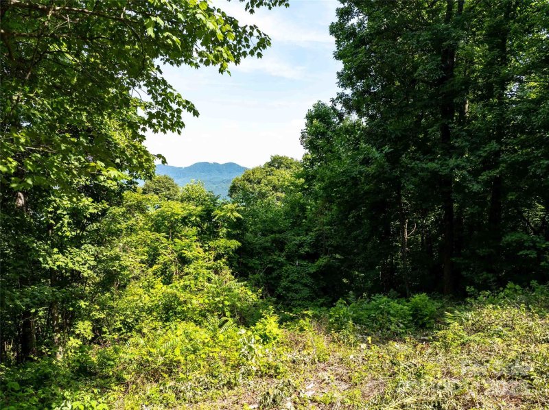 Property image 3 of 2957 Creston Drive in Creston, Black Mountain, NC 28711