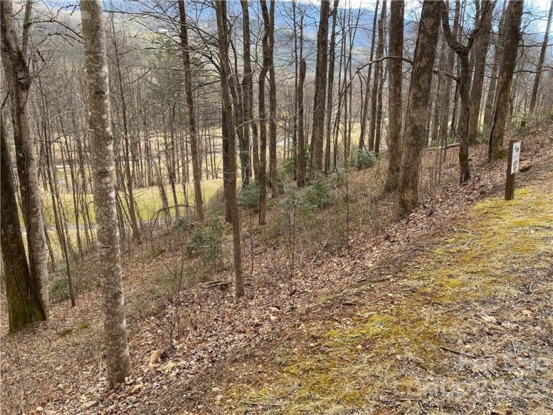 Property image 5 at 187 Blue Ridge Street, Marion, NC 28752