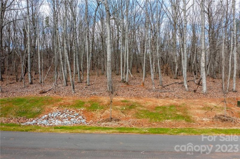 Property image 2 at Lot 4 Brancer Lane, Lincolnton, NC 28092