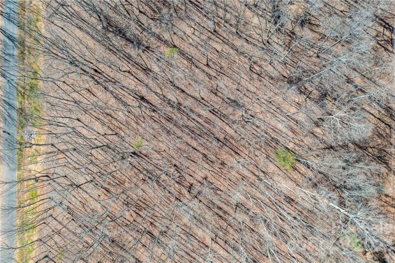 Property image 3 at Lot 4 Brancer Lane, Lincolnton, NC 28092