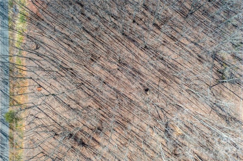 Property image 2 at Lot 6 Brancer Lane, Lincolnton, NC 28092