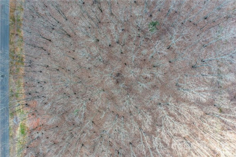 Property image 2 at Lot 8 Brancer Lane, Lincolnton, NC 28092