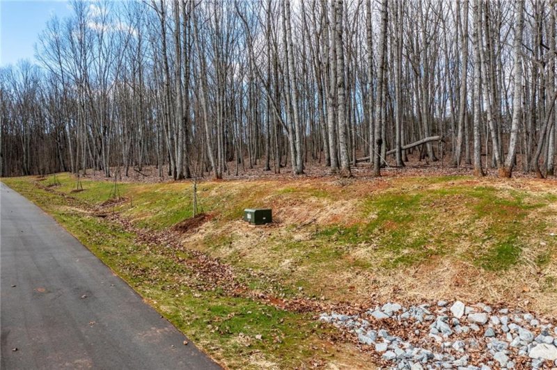 Property image 3 at Lot 8 Brancer Lane, Lincolnton, NC 28092