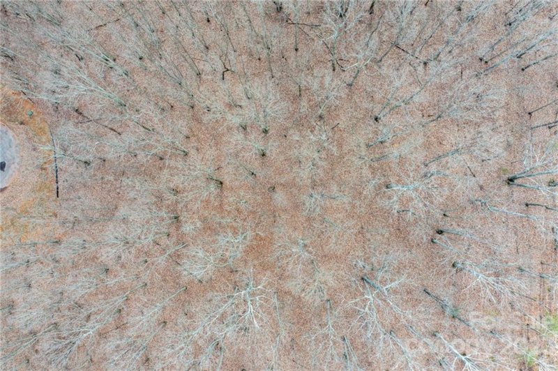 Property image 2 at Lot 11 Brancer Lane, Lincolnton, NC 28092