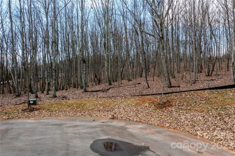 Property image 3 at Lot 11 Brancer Lane, Lincolnton, NC 28092