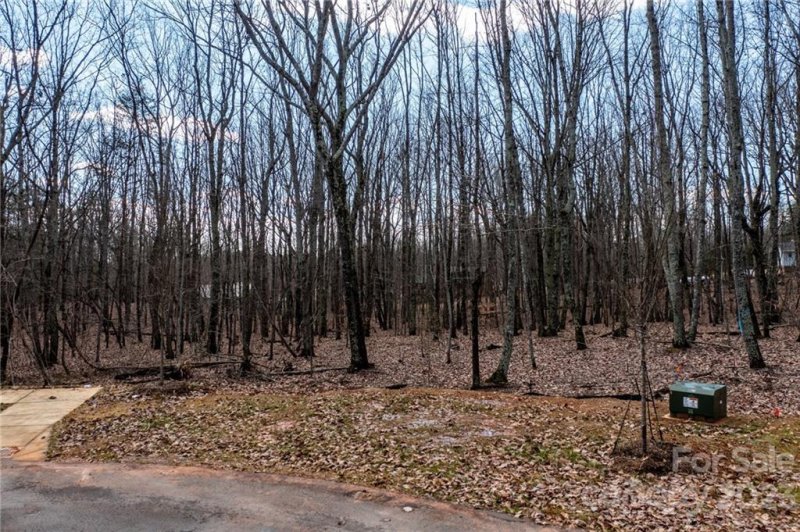 Property image 3 at Lot 12 Brancer Lane, Lincolnton, NC 28092