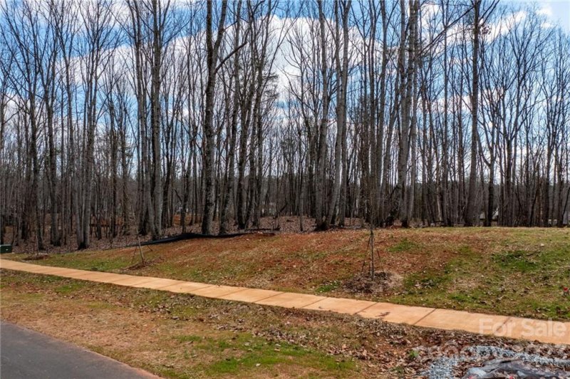 Property image 3 at Lot 16 Brancer Lane, Lincolnton, NC 28092