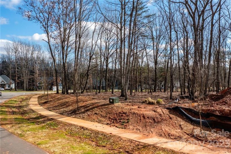 Property image 2 at Lot 20 Brancer Lane, Lincolnton, NC 28092