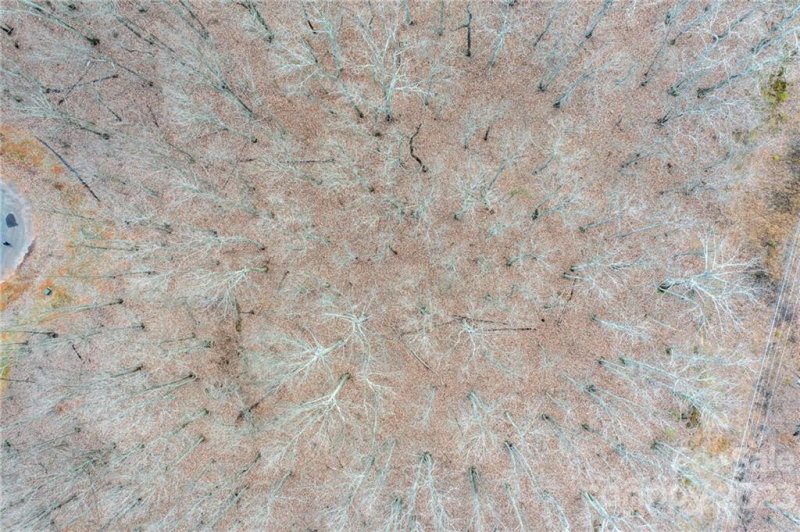 Property image 2 at Lot 10 Brancer Lane, Lincolnton, NC 28092