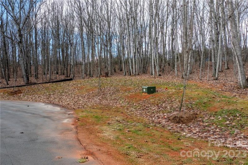 Property image 3 at Lot 10 Brancer Lane, Lincolnton, NC 28092