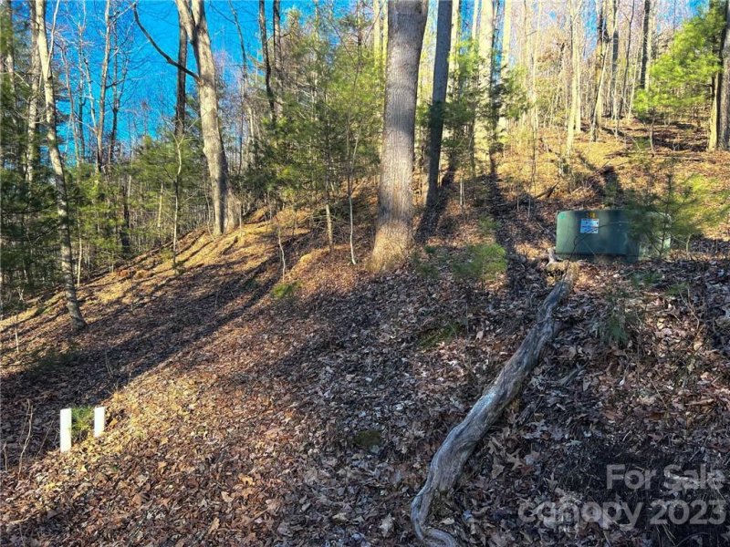 Property image 3 at 19 N Willow Wood Trail, Hendersonville, NC 28739