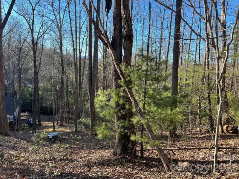 Property image 4 at 19 N Willow Wood Trail, Hendersonville, NC 28739