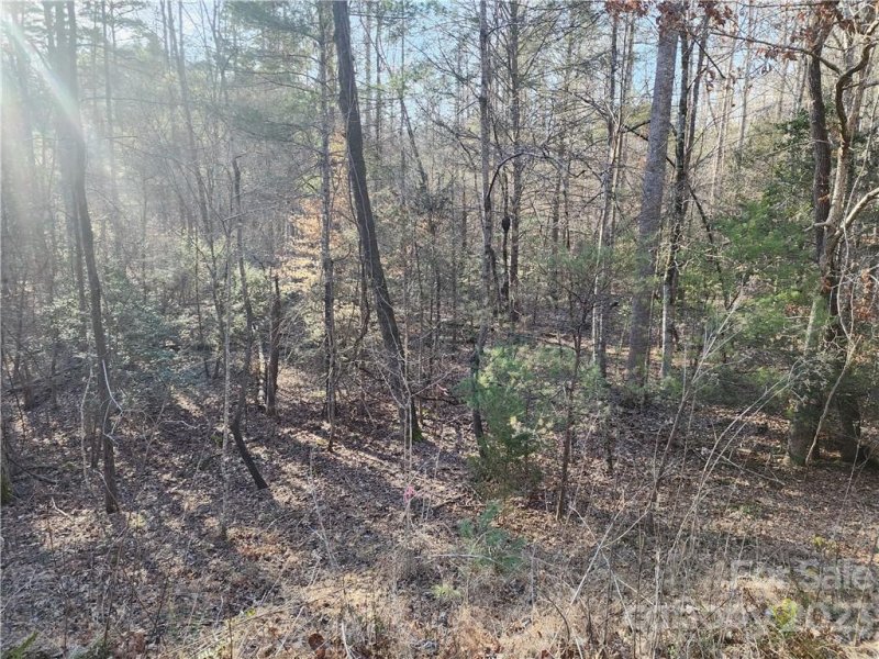 Property image 2 of 0 Finch Street in Riverbend at Lake Lure, Lake Lure, NC 28746