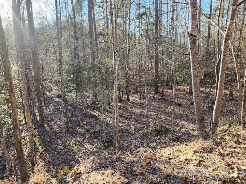 Property image 5 of 0 Finch Street in Riverbend at Lake Lure, Lake Lure, NC 28746