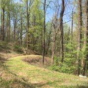 Property image 2 at 94 Locust Grove Lane, Weaverville, NC 28787