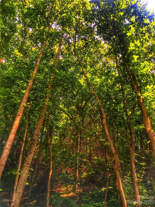 Property image 4 at 94 Locust Grove Lane, Weaverville, NC 28787