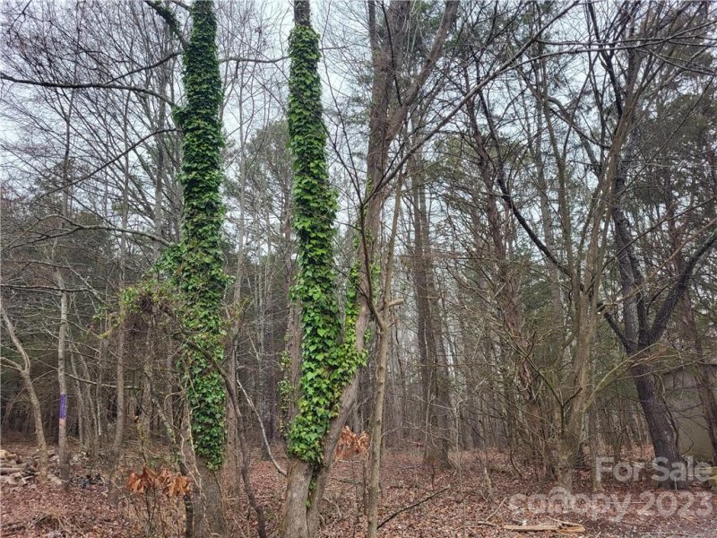 Property image 4 at 5311 Zion Church Road, Concord, NC 28025