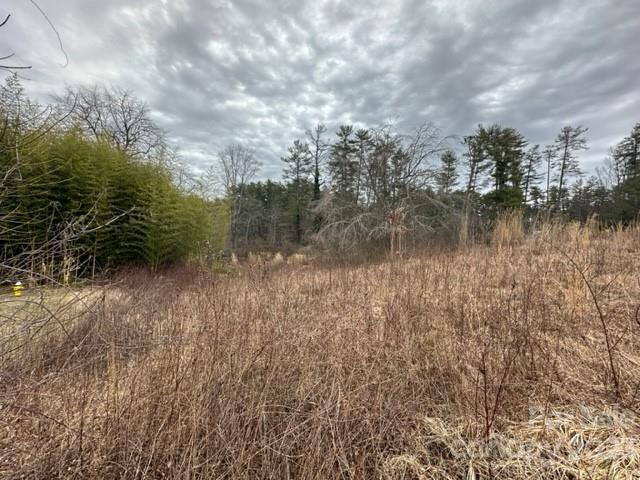 Property image 2 at 202 Montevilla Drive, Hendersonville, NC 28739