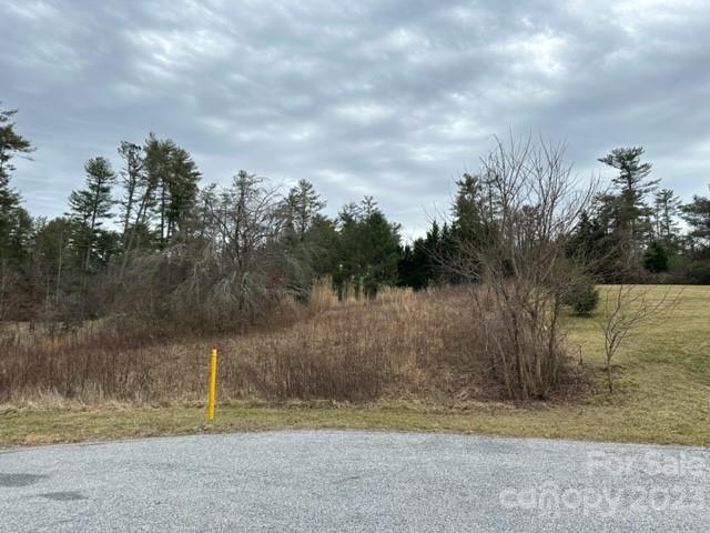 Property image 3 at 202 Montevilla Drive, Hendersonville, NC 28739