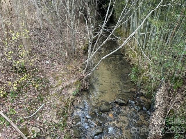 Property image 4 at 202 Montevilla Drive, Hendersonville, NC 28739