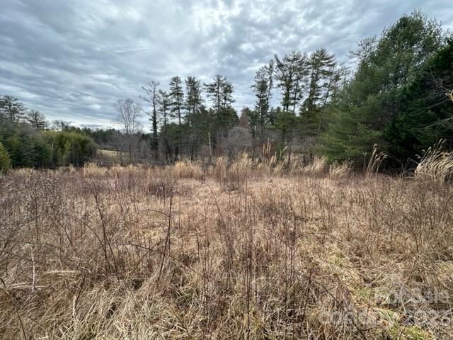 Property image 5 at 202 Montevilla Drive, Hendersonville, NC 28739