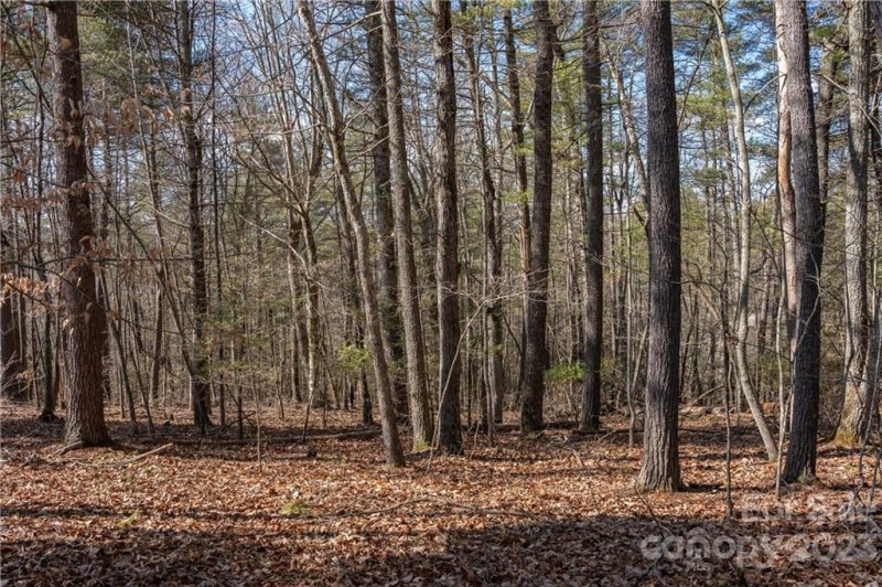 Property image 5 at 999 Settlers Trail, Mars Hill, NC 28754