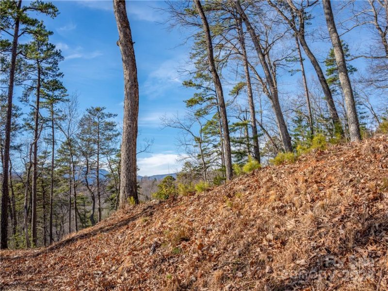 Property image 2 of 00 Rock Ledge Drive in Vista at Bills Mountain, Lake Lure, NC 28746