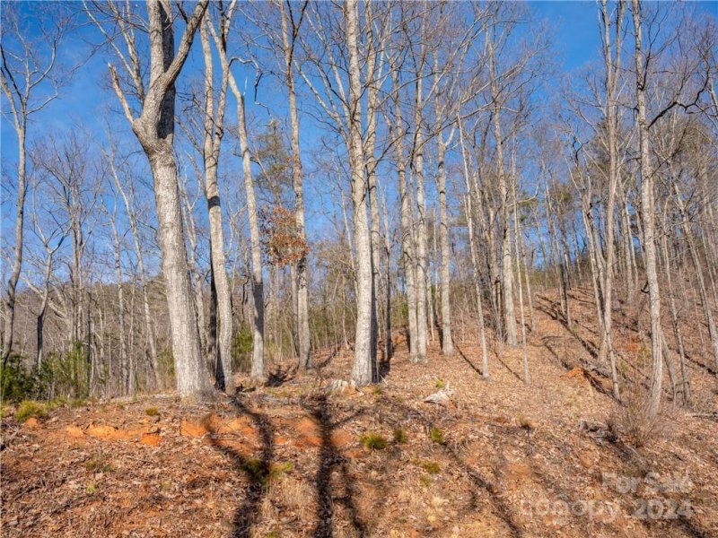 Property image 3 of 00 Rock Ledge Drive in Vista at Bills Mountain, Lake Lure, NC 28746