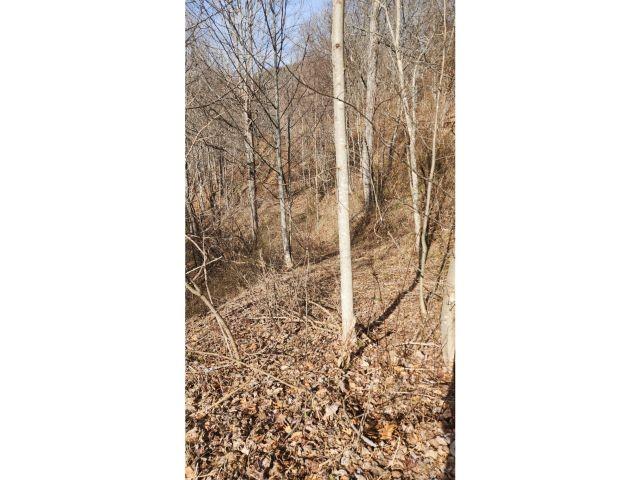 Property image 3 at 10 Gusty Knoll Trail, Waynesville, NC 28785