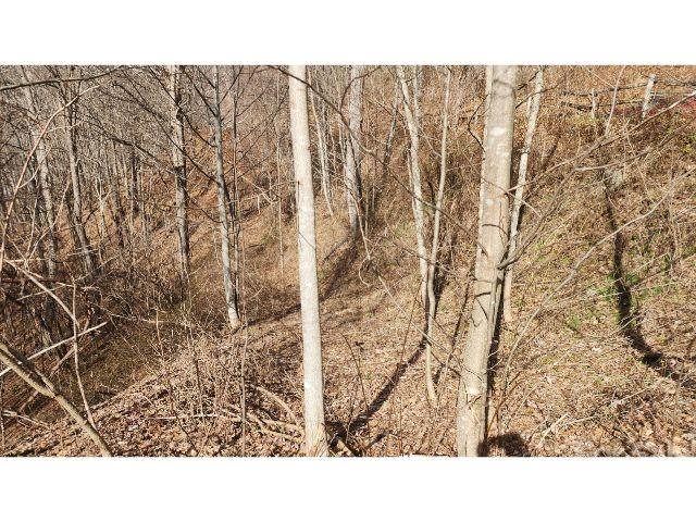 Property image 4 at 10 Gusty Knoll Trail, Waynesville, NC 28785