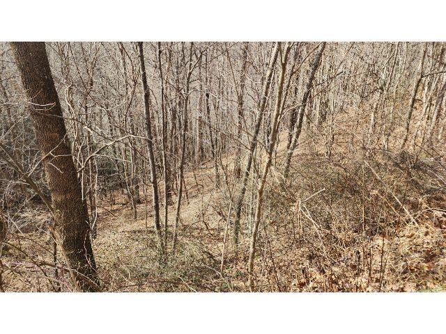 Property image 5 at 10 Gusty Knoll Trail, Waynesville, NC 28785
