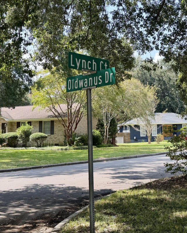 Property image 2 of 1266 Oldwanus Drive in Parish Place, Mount Pleasant, SC 29464