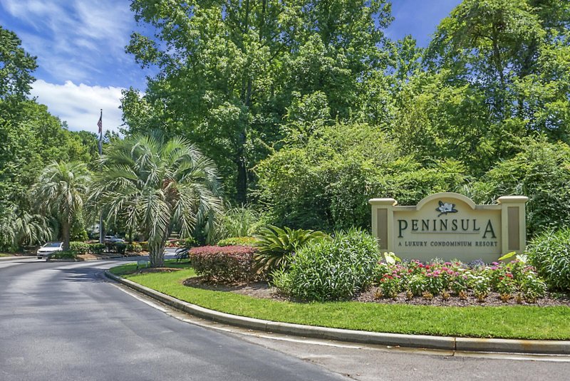 Property image 5 of 700 Daniel Ellis Drive 2203 in Peninsula, Charleston, SC 29412