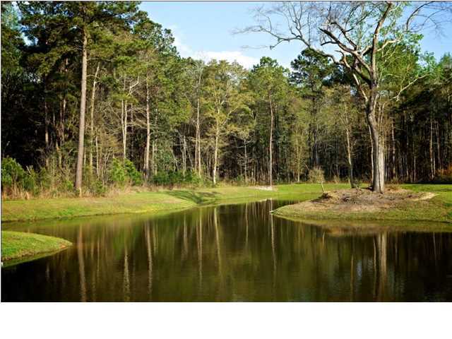 Property image 4 at 3029 Moonlight Drive, Charleston, SC 29414