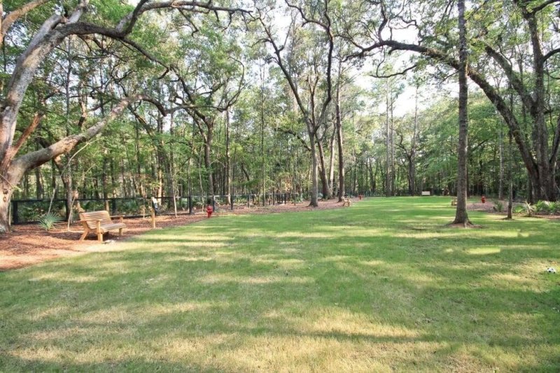 Property image 4 of 1732 Grovehurst Drive in Carolina Bay, Charleston, SC 29414